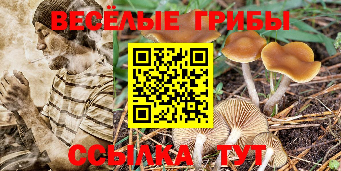 Псилоцибиновые грибы мухоморы Белгород