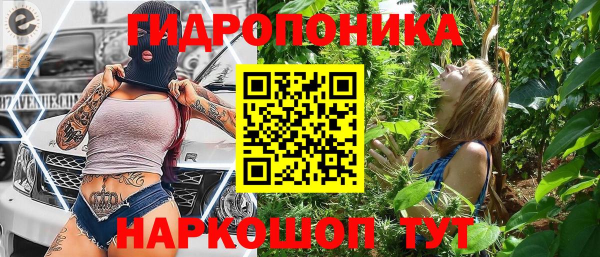 Каннабис индика  Канабис марихуана  Белгород  Вход с VPN  Марихуана конопля  Марихуана OG Kush 
